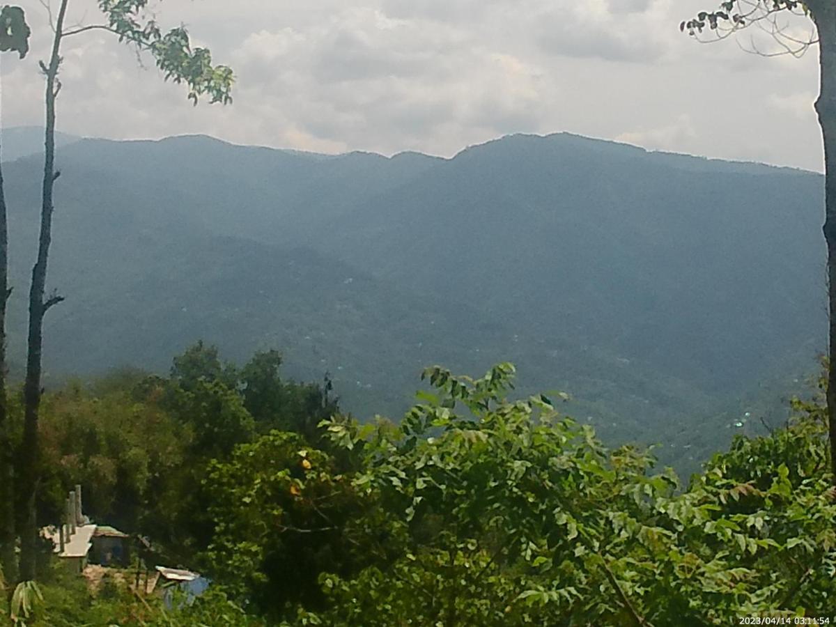 Mountain View Homestay Kalimpong Exteriér fotografie